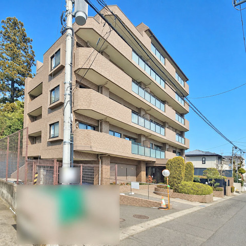 小型ペットの相談OK！採光がしっかりと取れる角部屋です♪現地（2026年1月）撮影